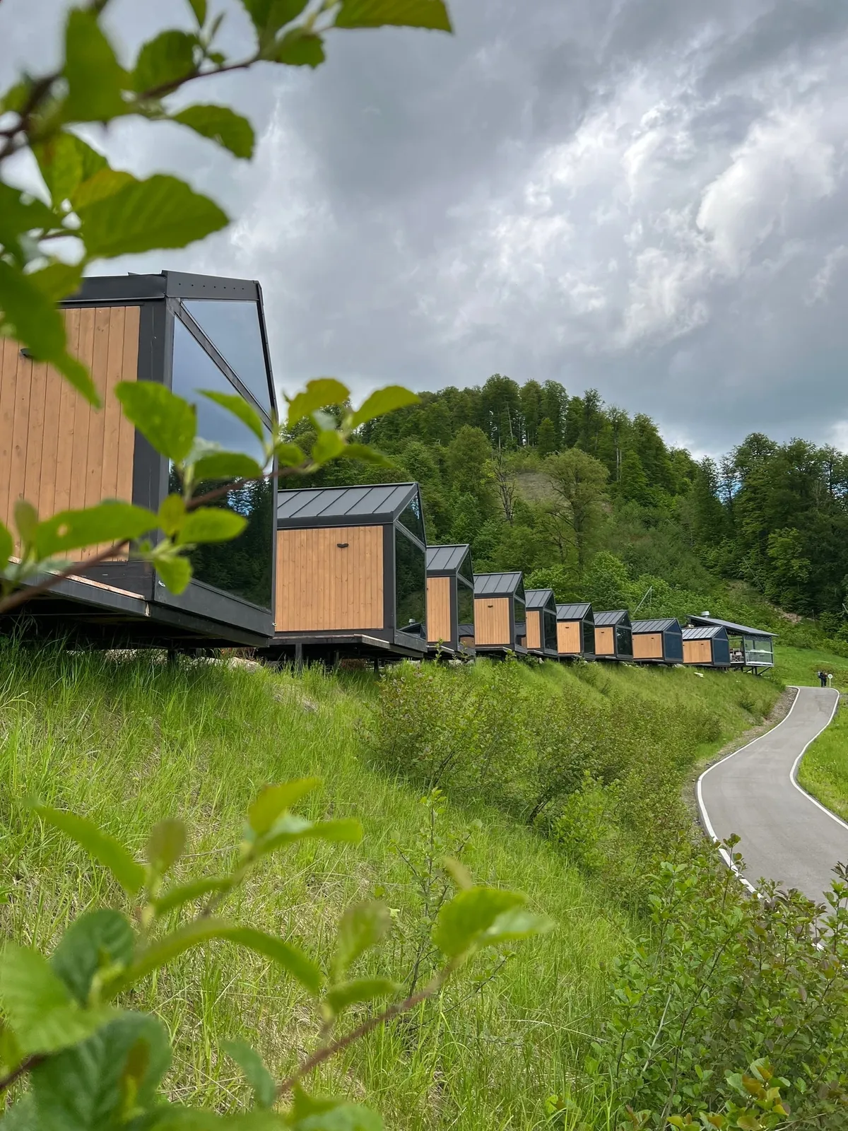 Эндемик Глэмпинг