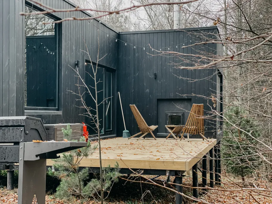 Эвкалипт фото 2