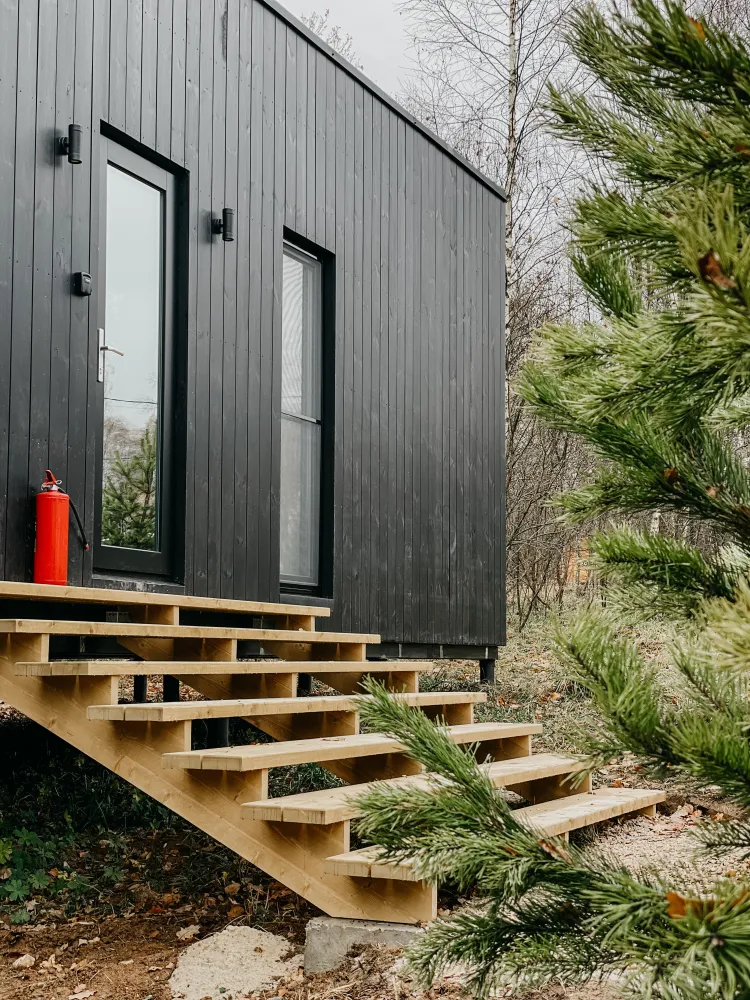 Эвкалипт фото 3