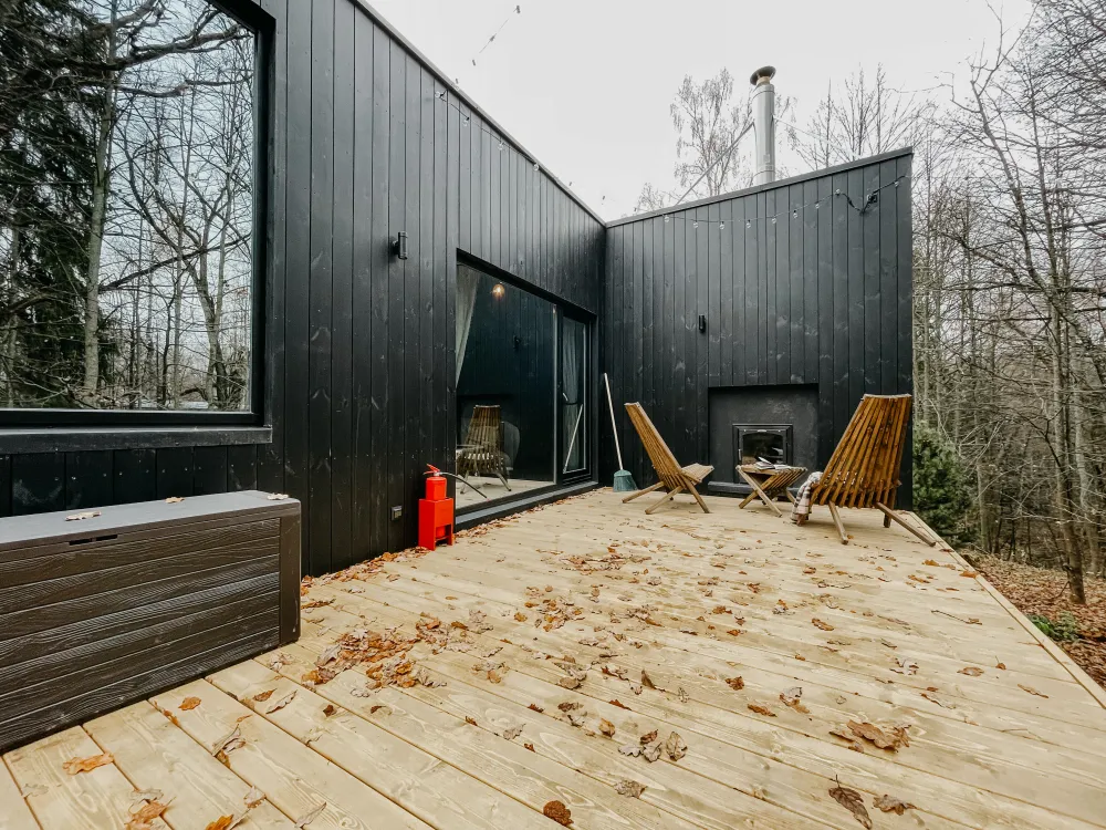 Эвкалипт фото 4