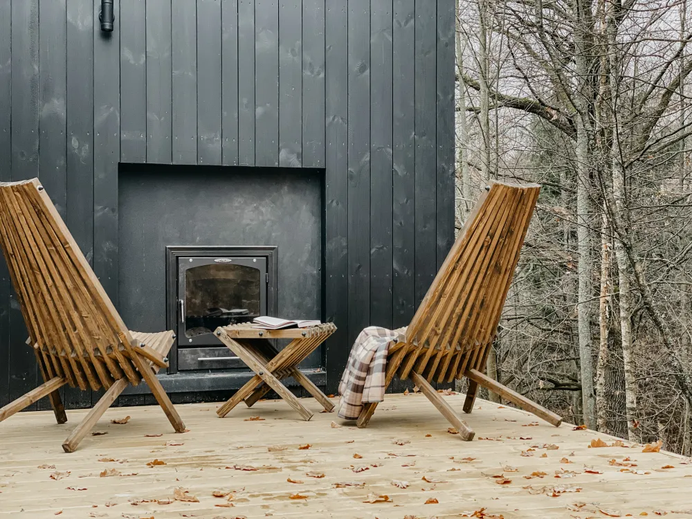 Эвкалипт фото 5