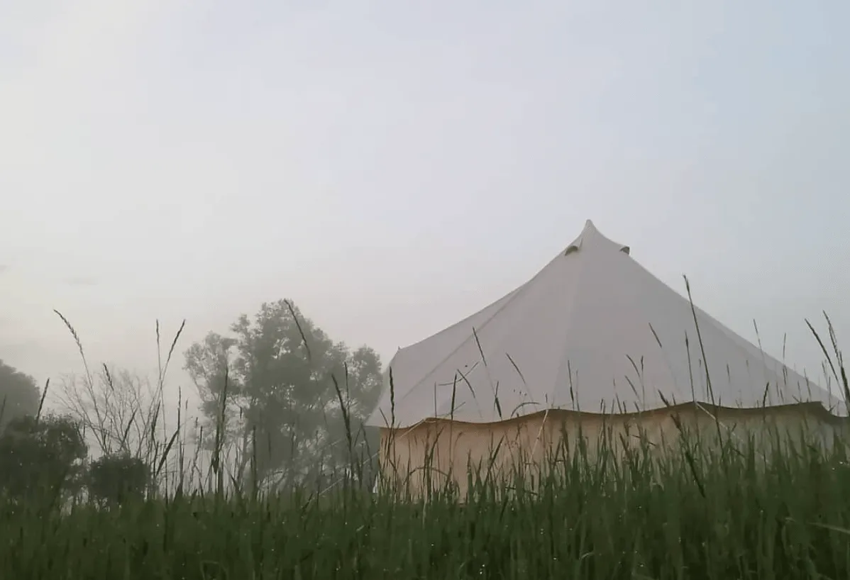 FamilyGlamp фото 4