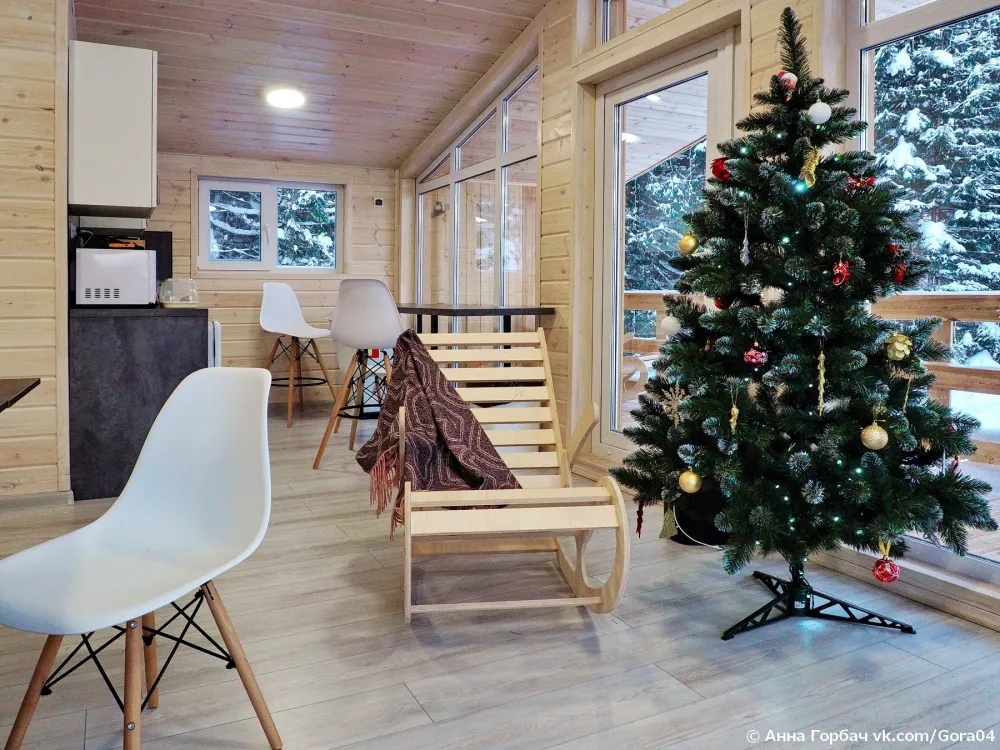 Филин фото 4