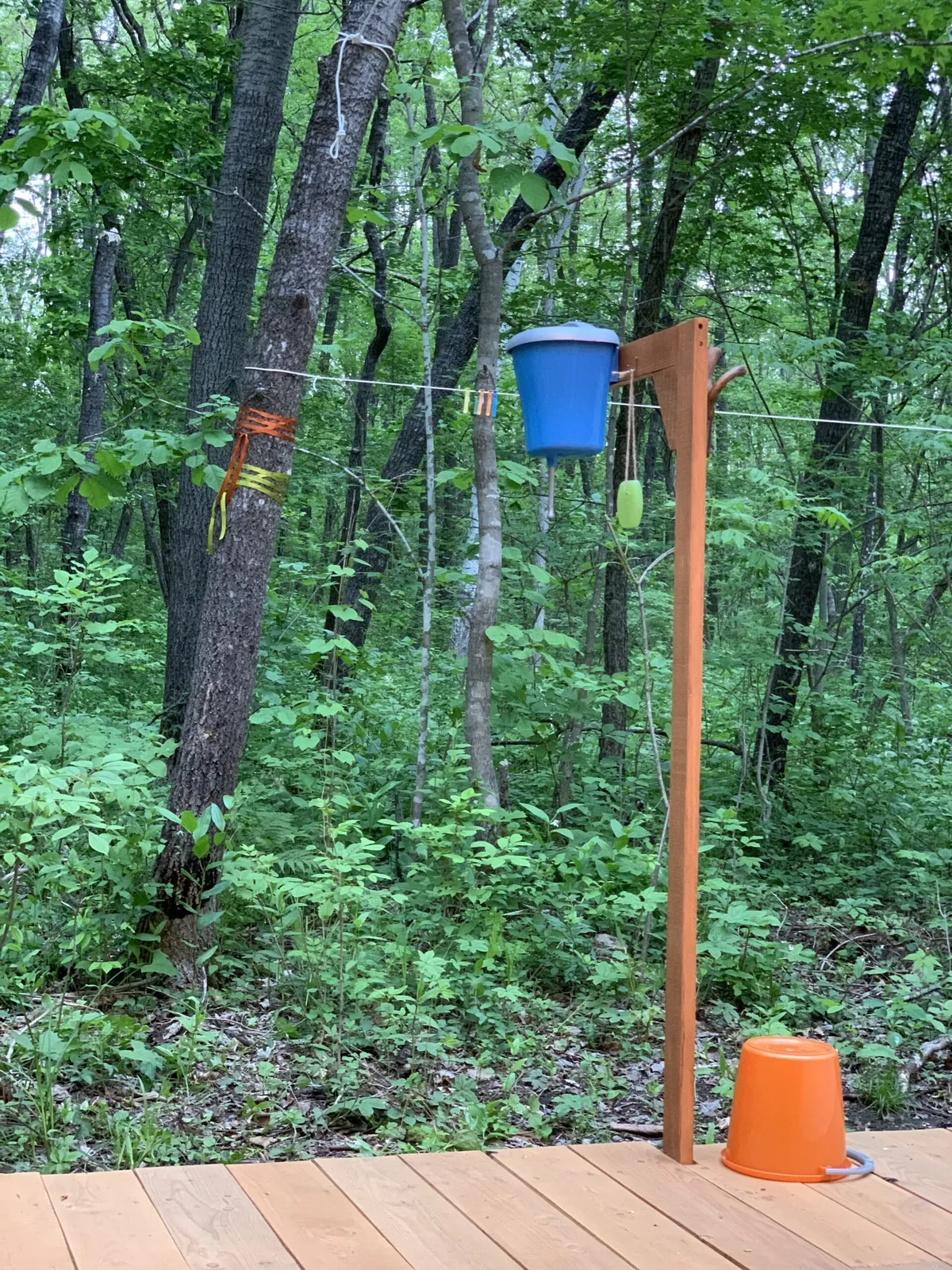 Forest Camping фото 2