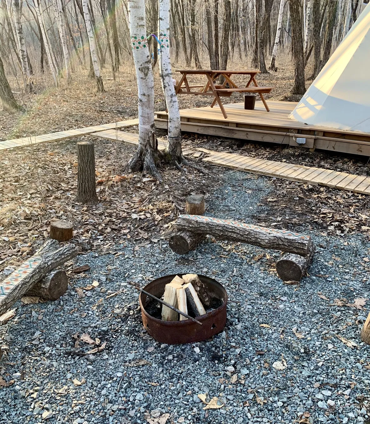 Forest Camping фото 3