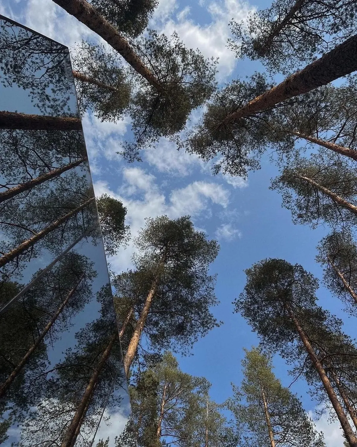 Forest Lake Санкт-Петербург фото 5