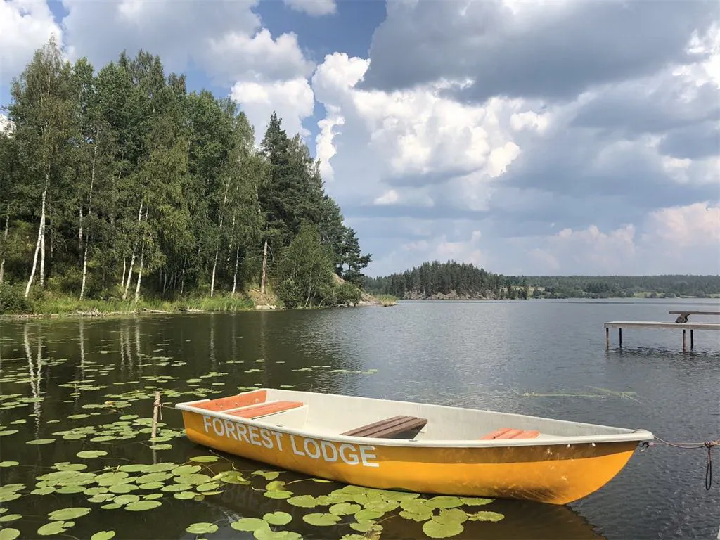Forrest Lodge Karelia (Форест Лодге Карелия) фото 2