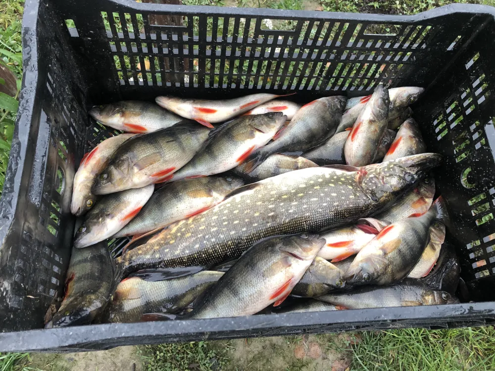 Форт Верный фото 4