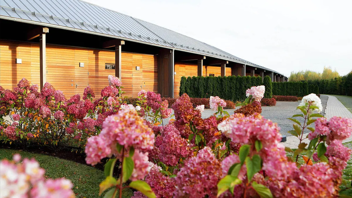 Fox Lodge Лисья нора фото 2