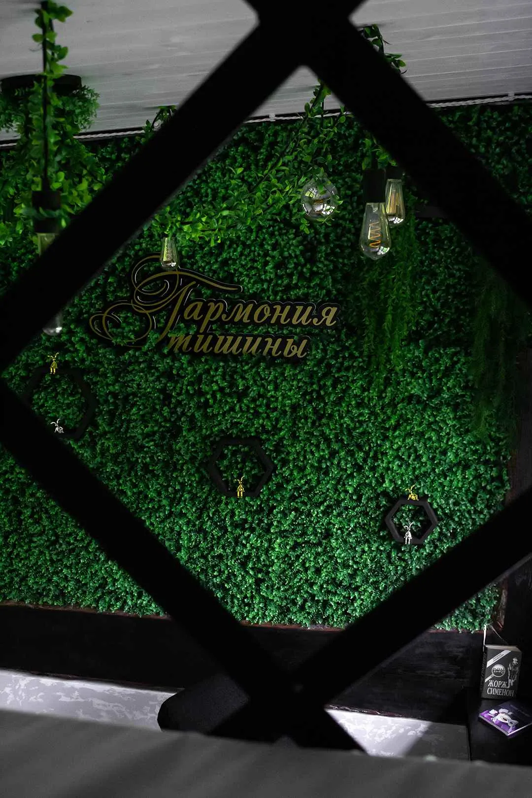 Гармония Тишины фото 3