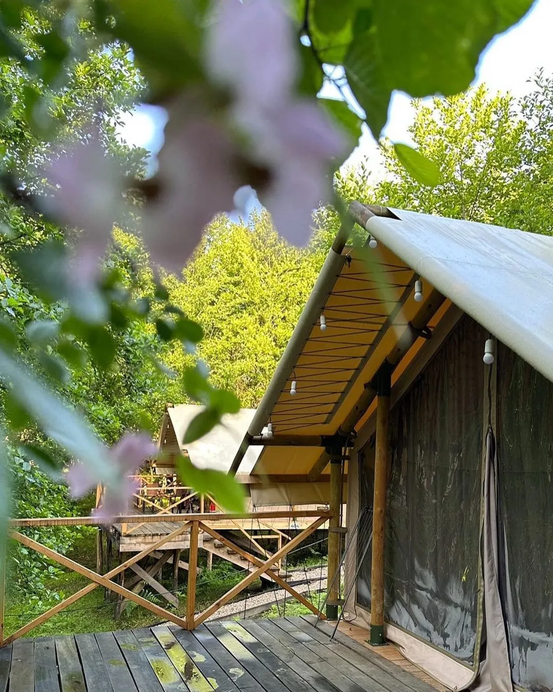 Garuda Glamping Abkhazia фото 2