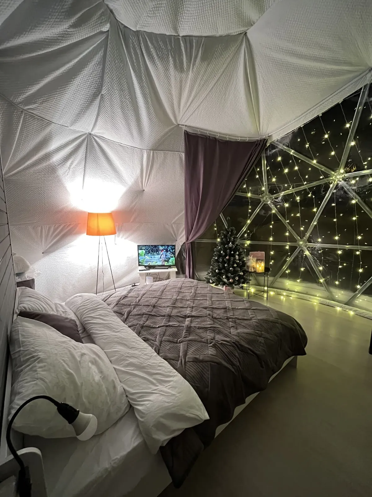 Геокупол фото 4