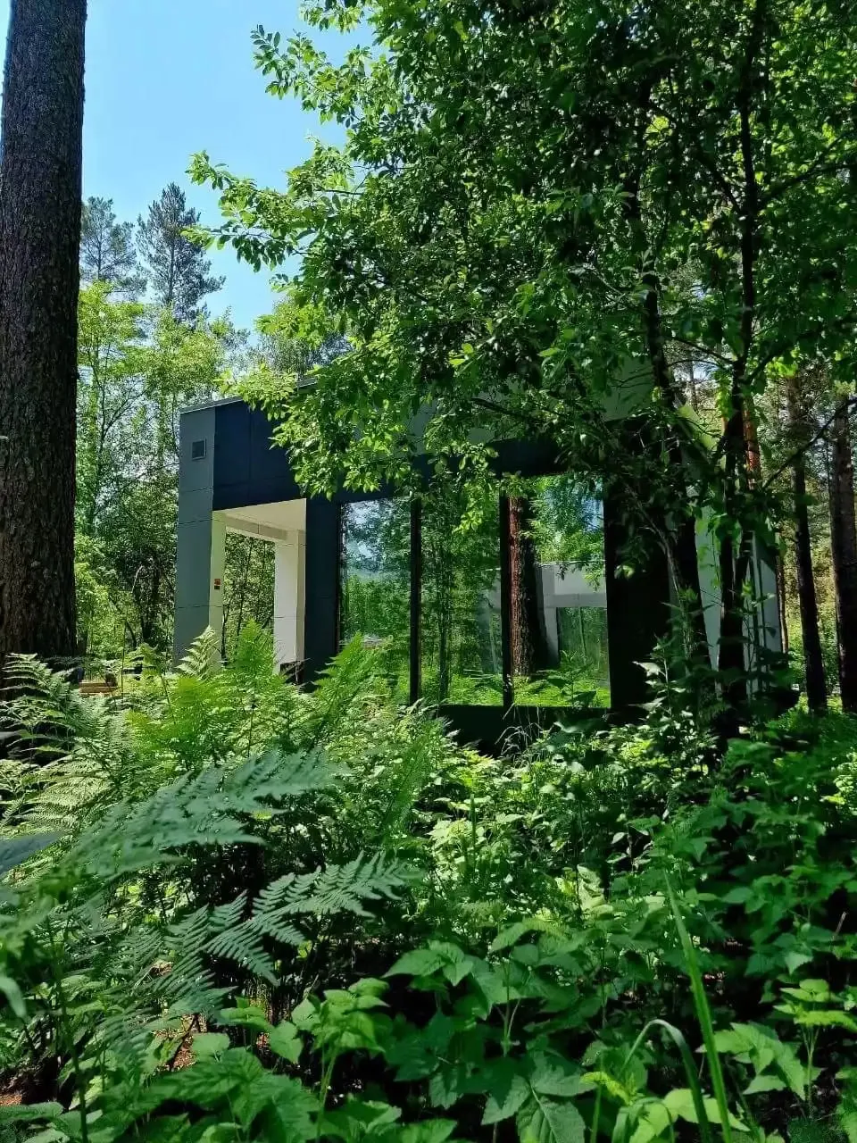 GEOMETRIKA фото 4