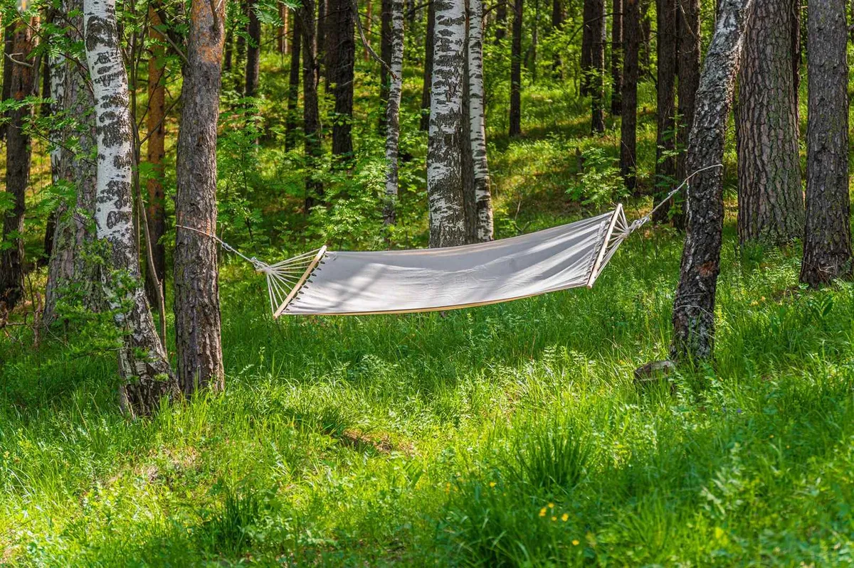 Глэмпинг №1 фото 2