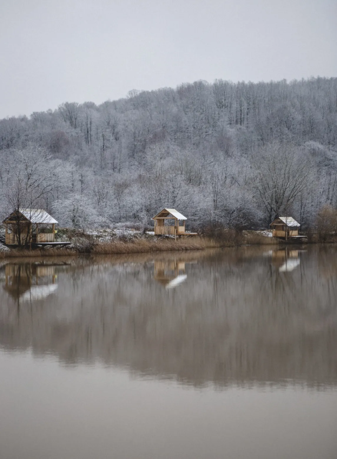 Глэмпинг Aframe kalinki фото 4