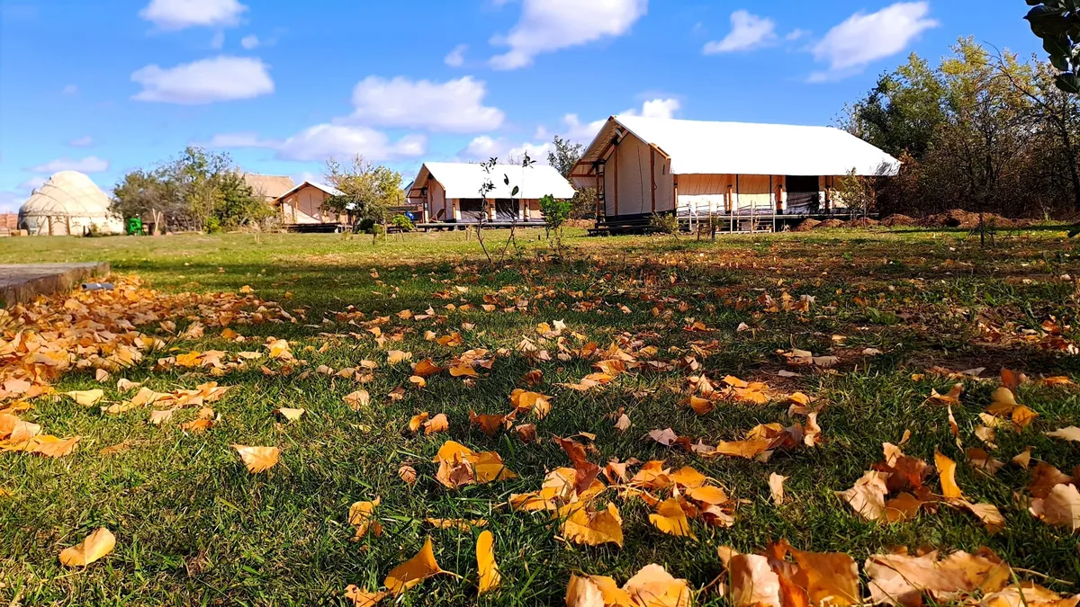Сафари лодж
