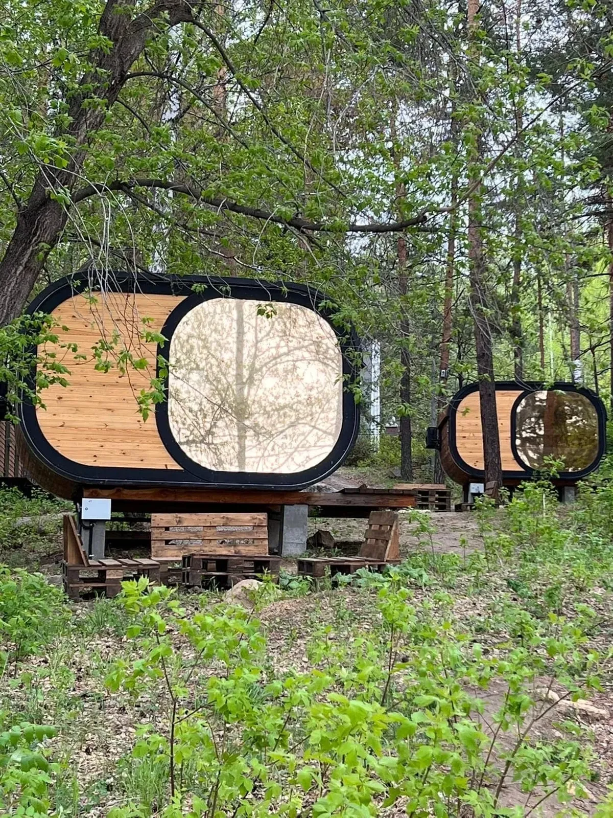 Глэмпинг Бабочка