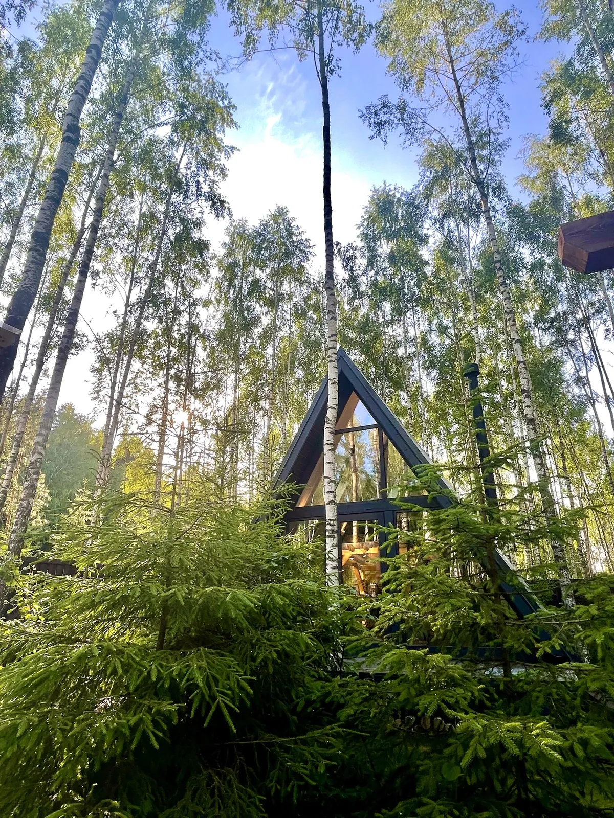 Глэмпинг Bjørk