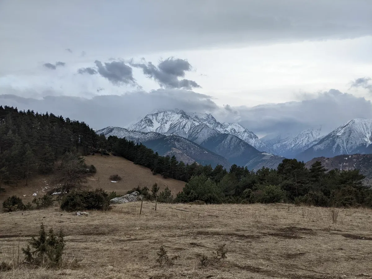 Глэмпинг Chilli Bro’s camp фото 3