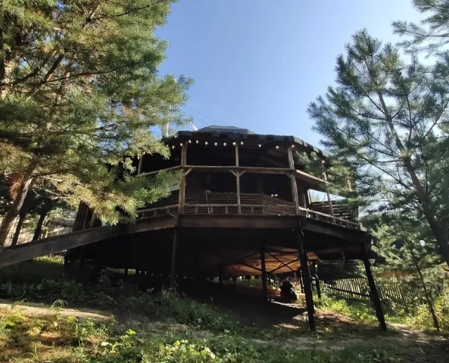 Глэмпинг Две сосны фото 4