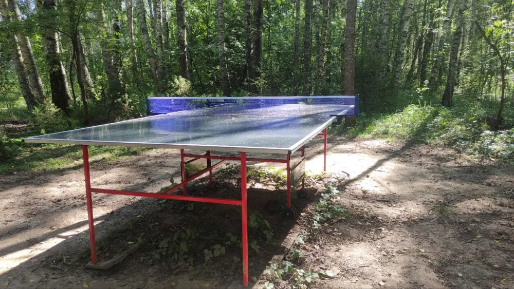 Глэмпинг - Эльфийская деревня Берег Грифона фото 2