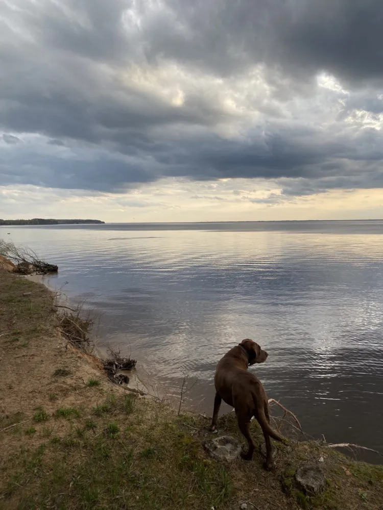 Глэмпинг - Эльфийская деревня Берег Грифона фото 3