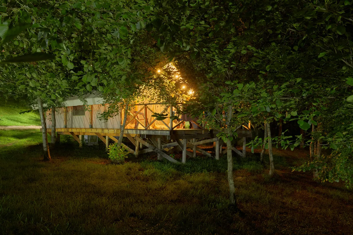 Глэмпинг Гаруда фото 5