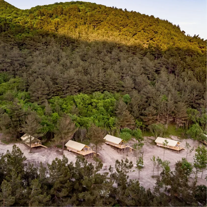 Глэмпинг Glam Park фото 3