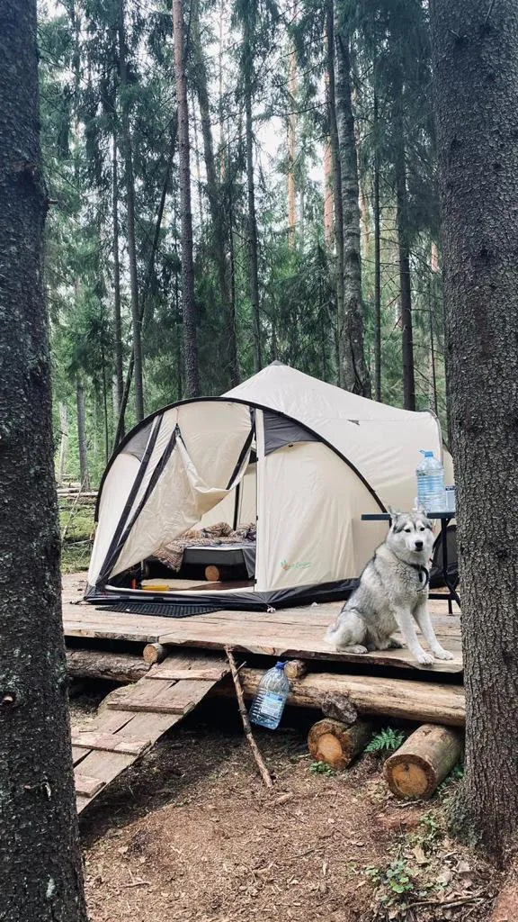 Глэмпинг Глушь фото 4