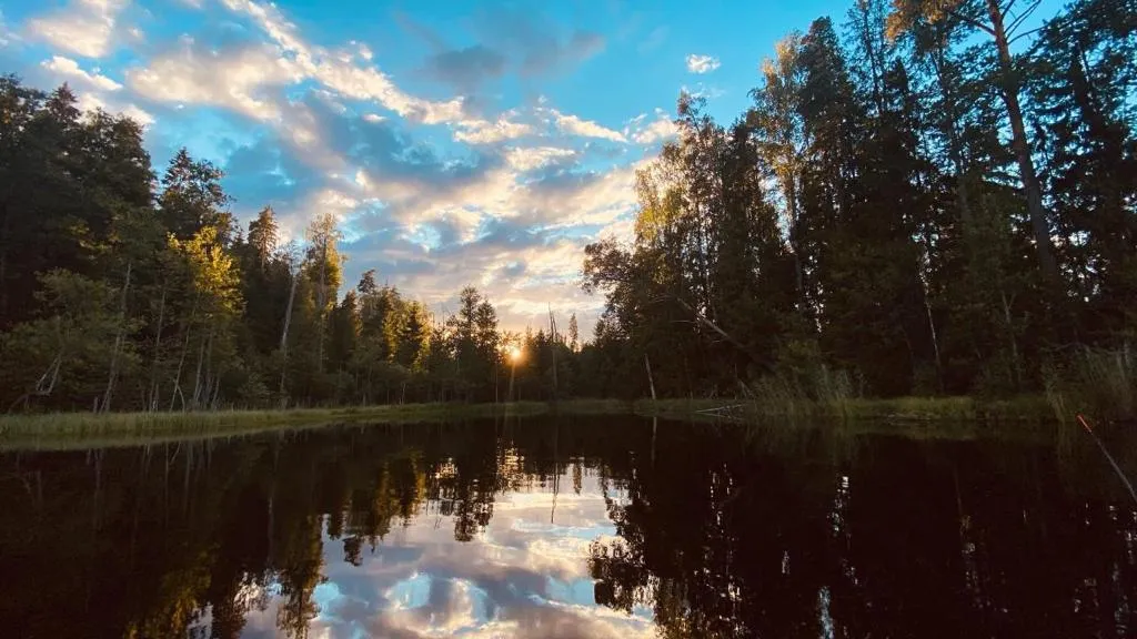 Глэмпинг Глушь фото 5