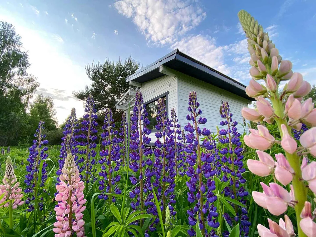 Дом на двоих