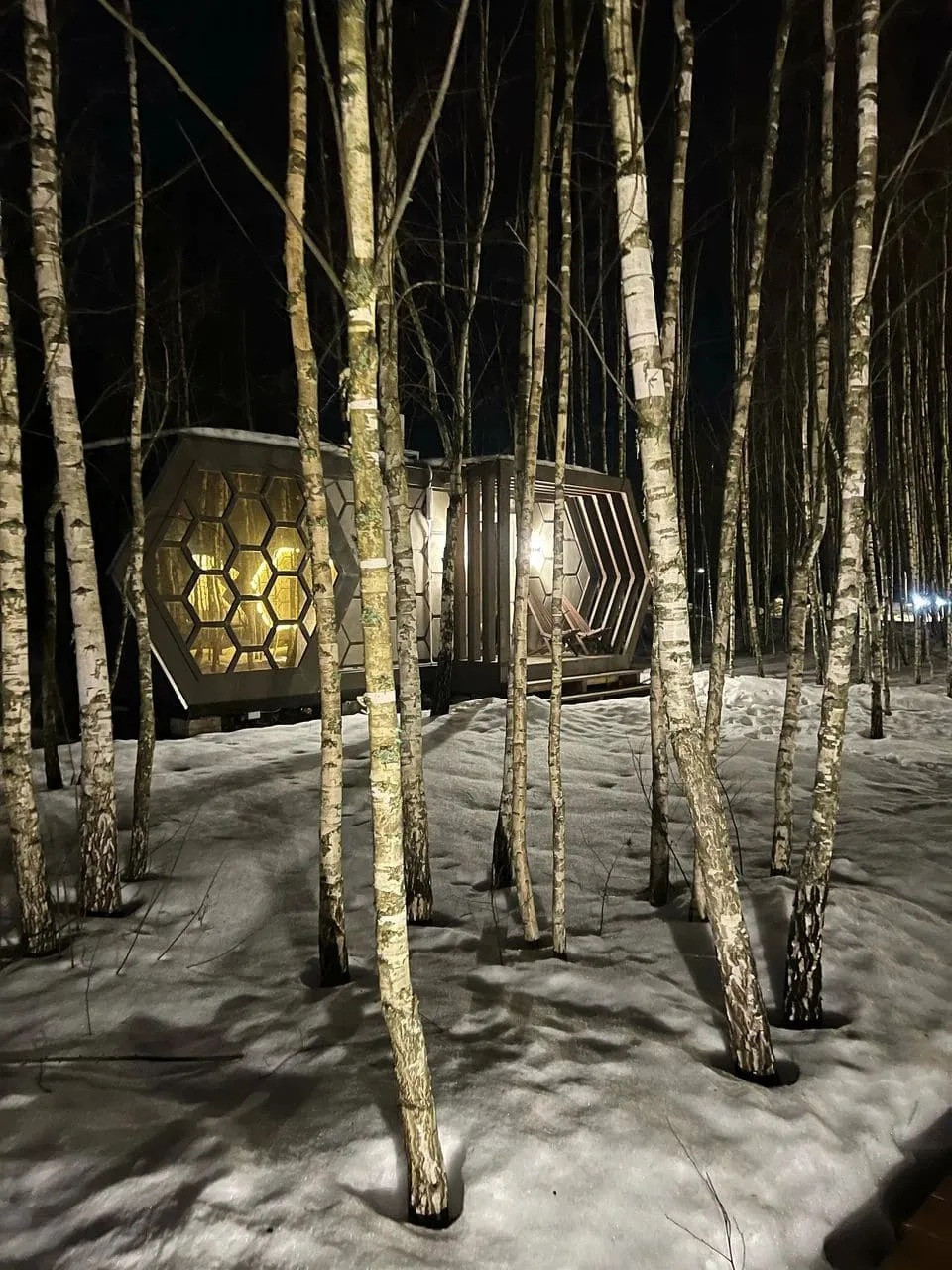 Глэмпинг Honey Day фото 4