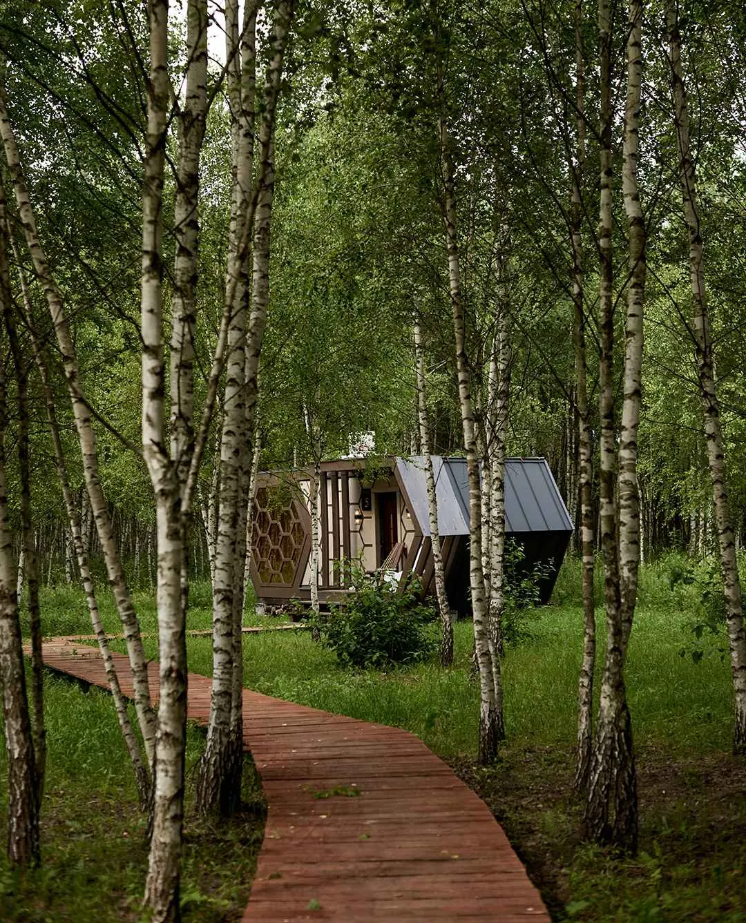 Домик-улей на троих