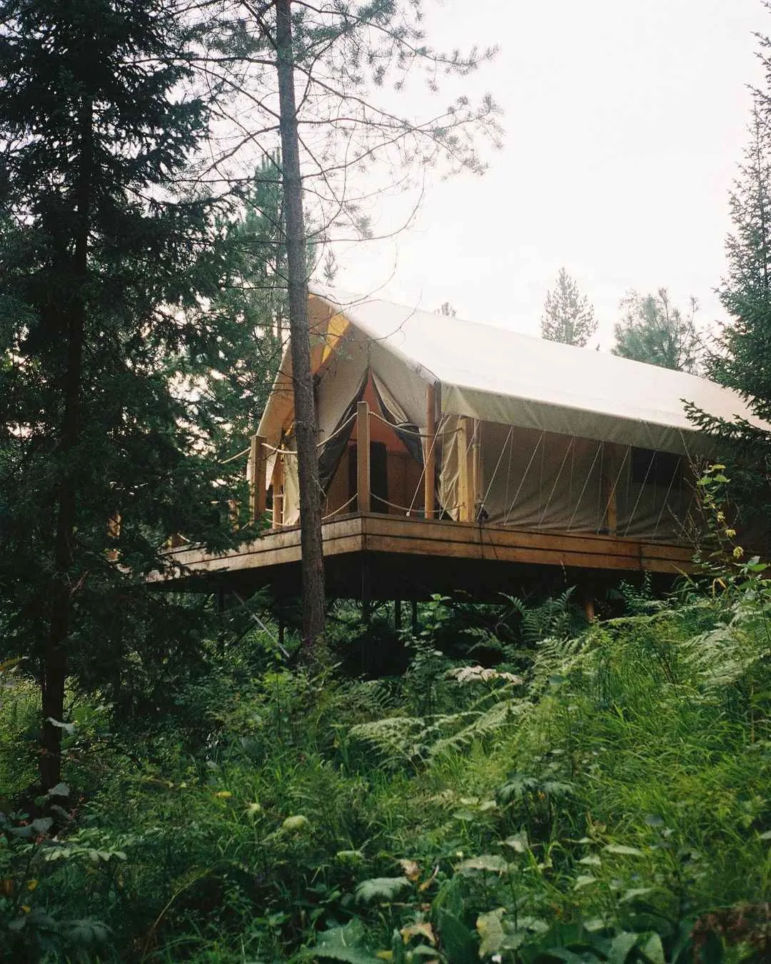 Глэмпинг Кедровая берлога