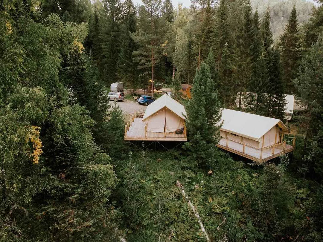 Глэмпинг Кедровая берлога фото 3