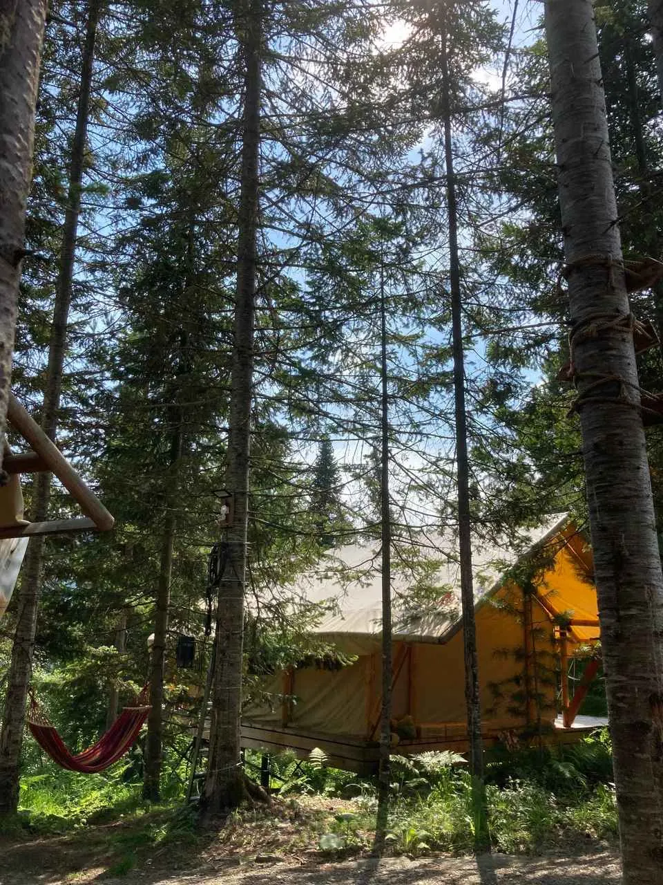Глэмпинг Кедровая берлога фото 4