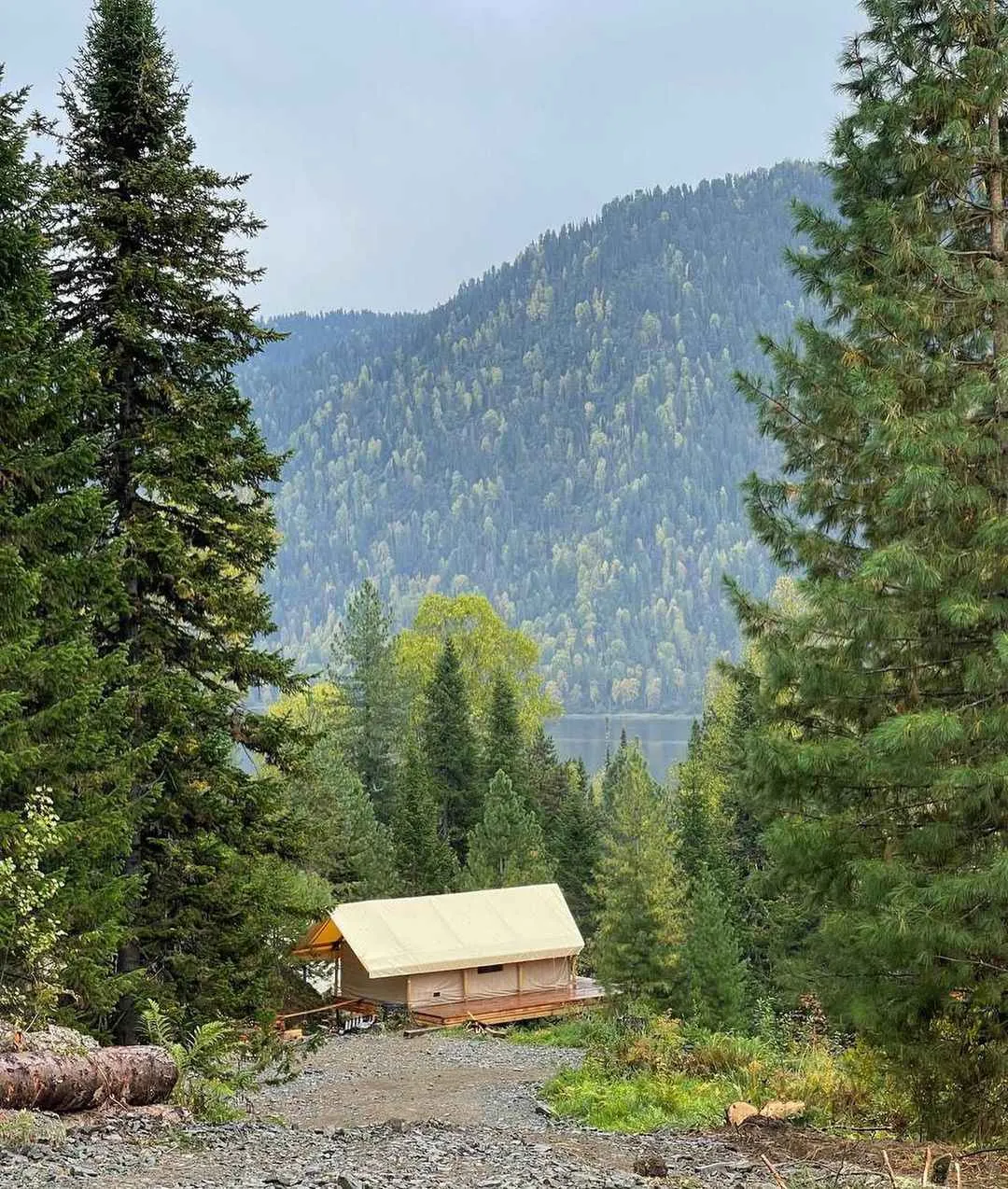 Глэмпинг Кедровая берлога фото 5