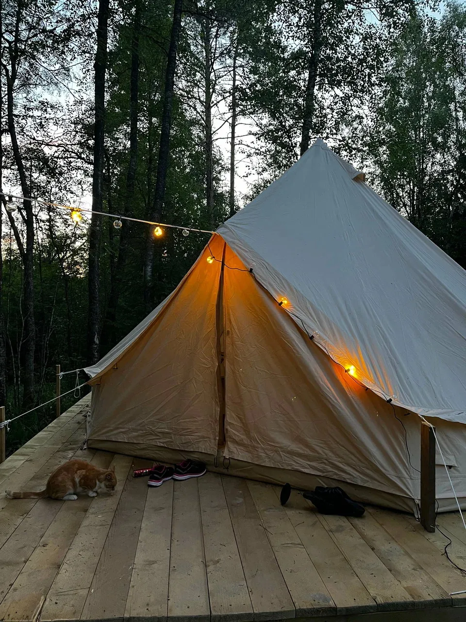 Глэмпинг Котопельто