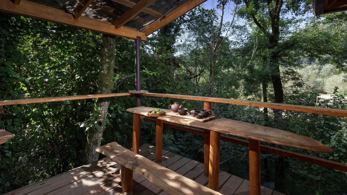 Глэмпинг LAVICON Древо фото 2