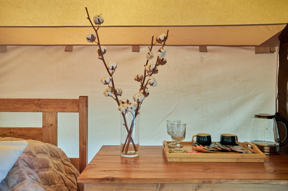 Глэмпинг Лес рядом фото 3