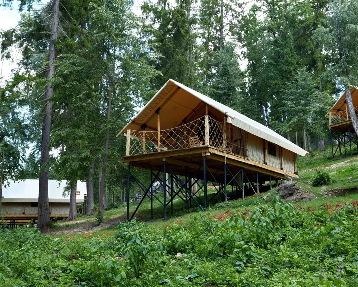 Глэмпинг Лес рядом фото 4