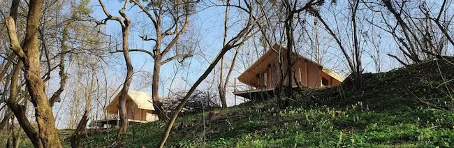 Глэмпинг Листья фото 2