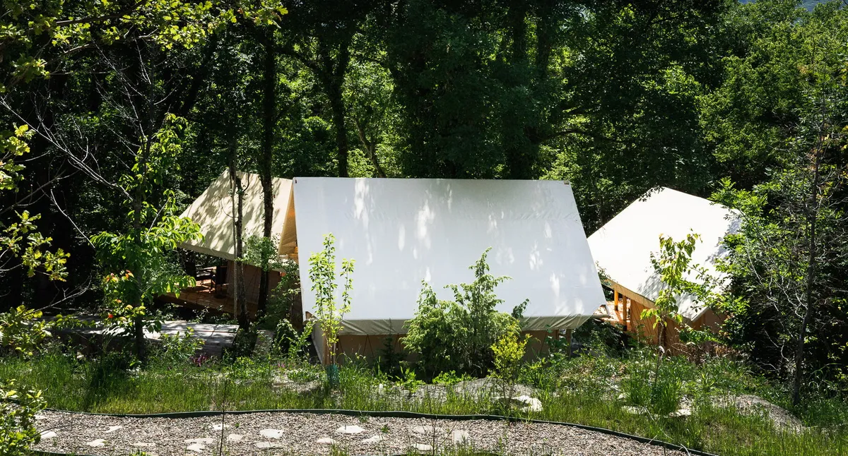 Глэмпинг Листья фото 3