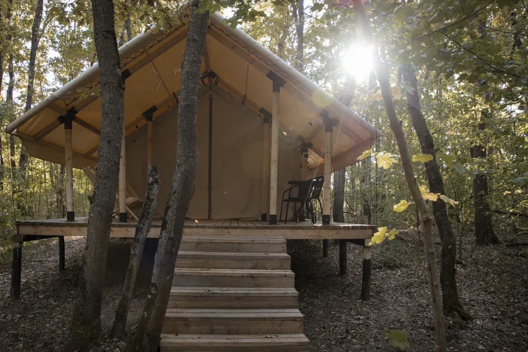 Глэмпинг Листья фото 4