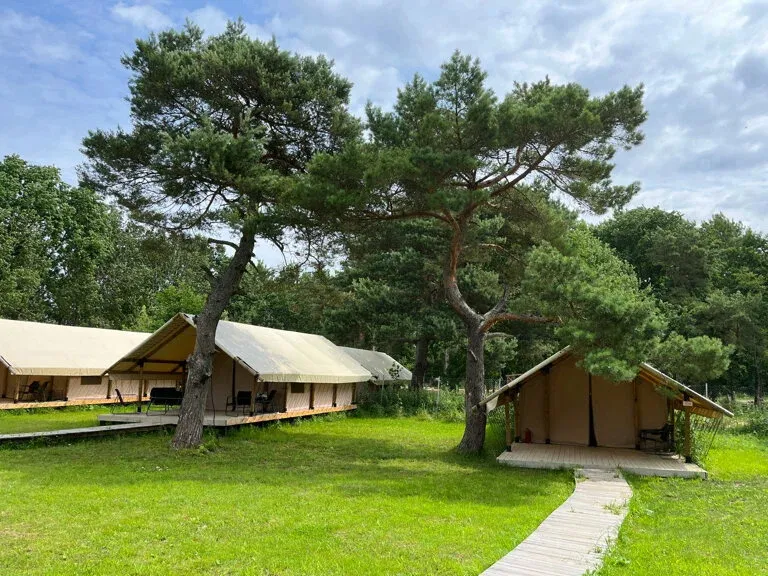 Глэмпинг Малина фото 4