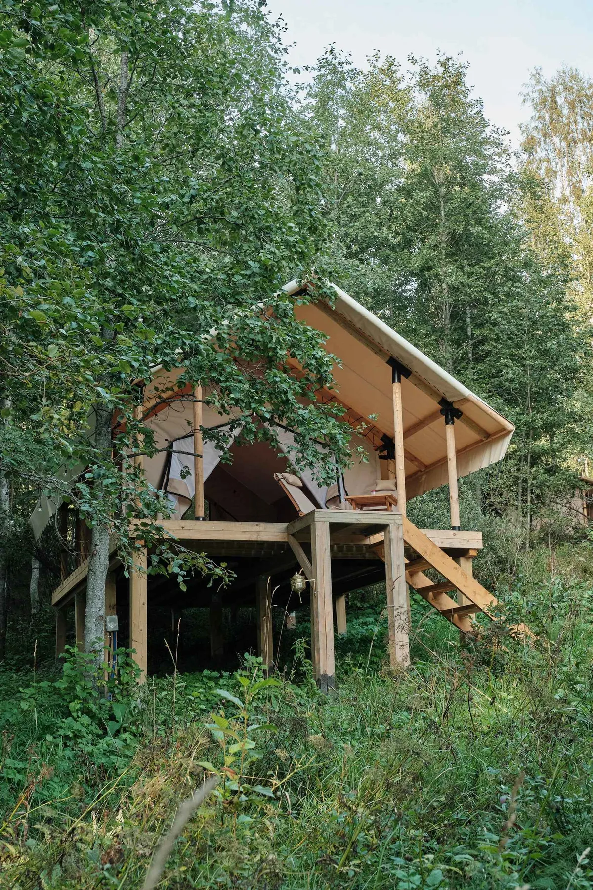 Сафари-тент в лесу