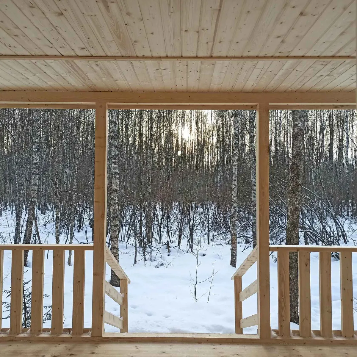 Дом Добрыни