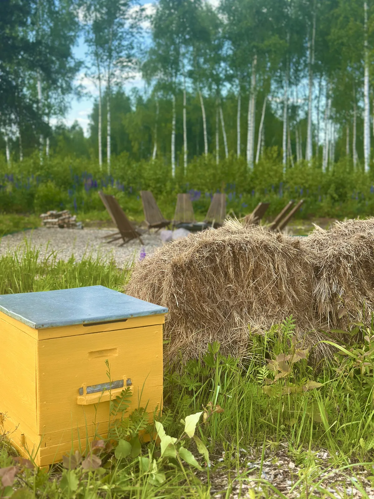 Глэмпинг Nota Bene фото 2