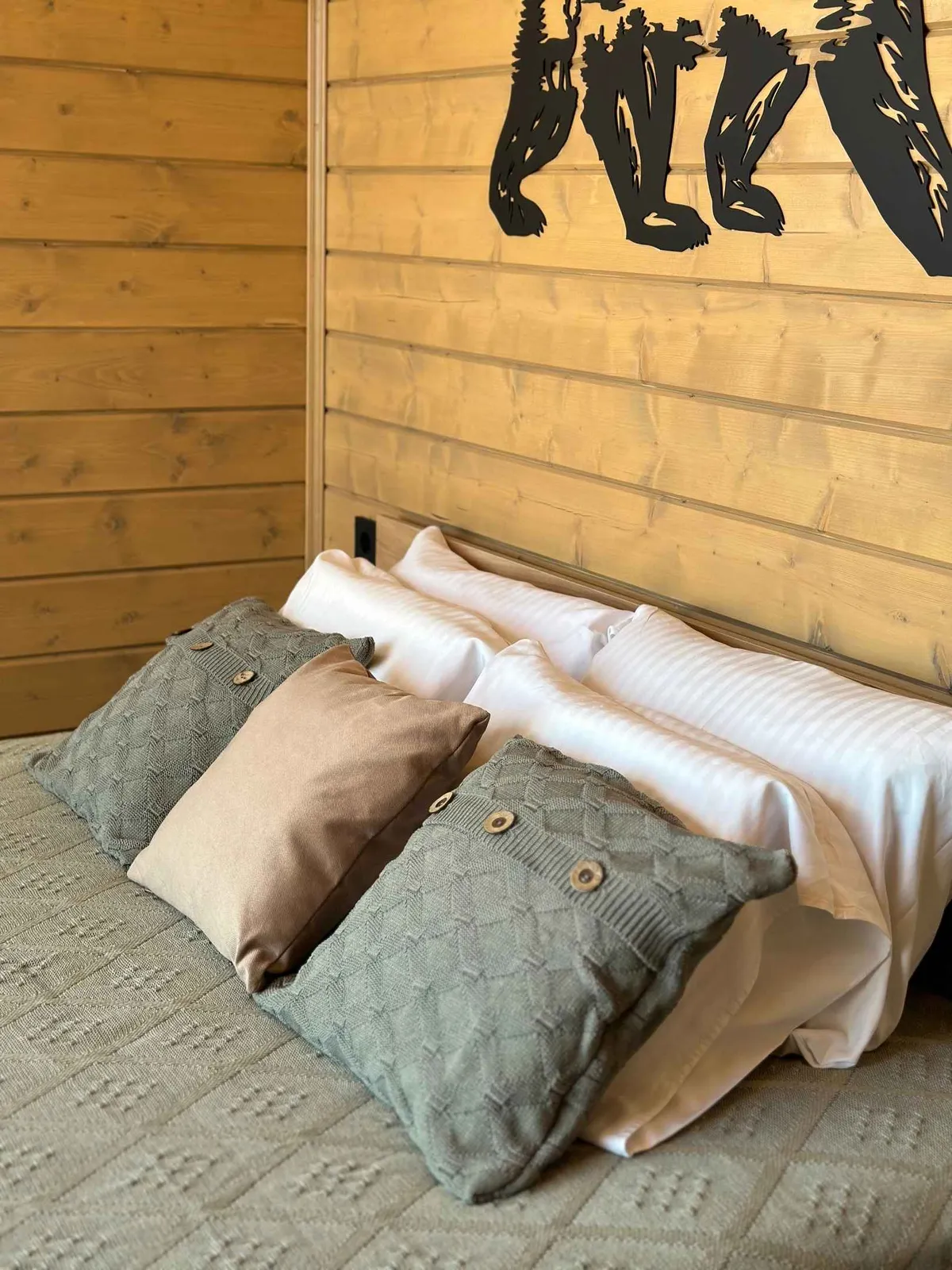 Глэмпинг Обсерватория фото 4