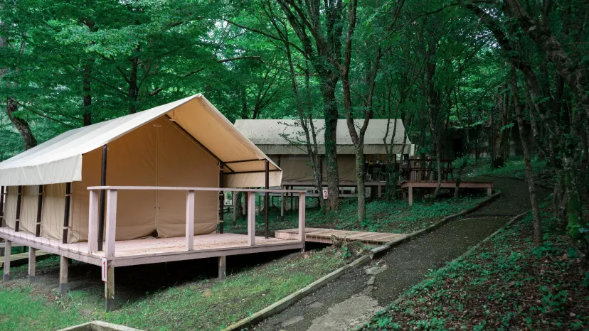 Глэмпинг Очаг фото 5